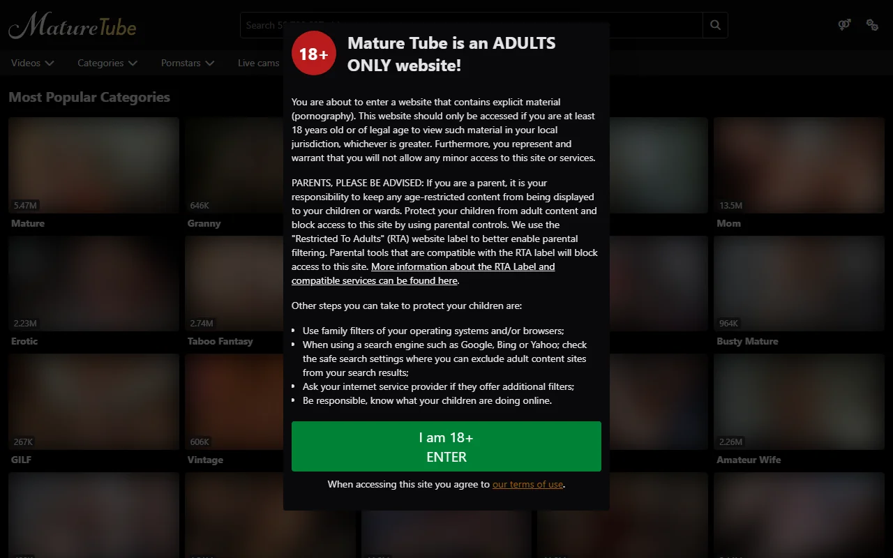 Screenshot of Maturetube
